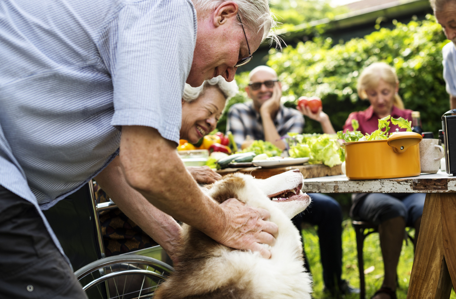 An older adult man playing with a dog at a park with other seniors eating.